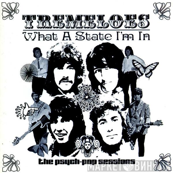 The Tremeloes - What A State I'm In
