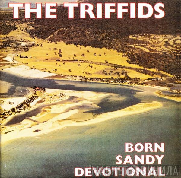  The Triffids  - Born Sandy Devotional