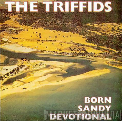  The Triffids  - Born Sandy Devotional