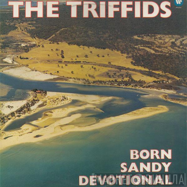  The Triffids  - Born Sandy Devotional