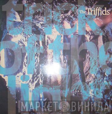  The Triffids  - Trick Of The Light