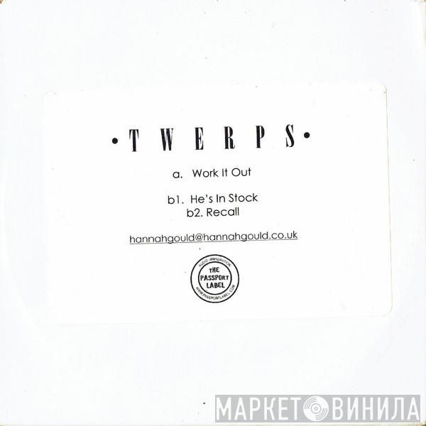 The Twerps  - Work It Out