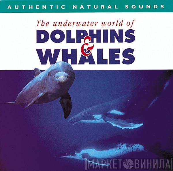  - The Underwater World Of Dolphins & Whales