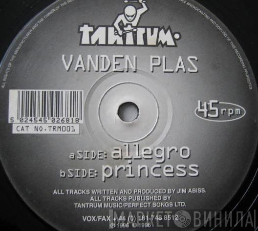 The Vanden Plas  - Allegro / Princess