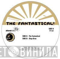  The Vanishing System  - The Fantastical/Step-Gruv
