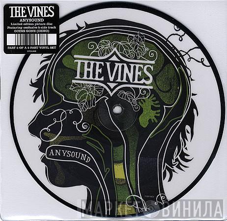 The Vines - Anysound