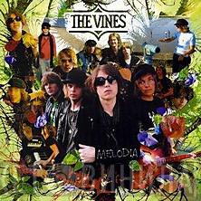The Vines - Melodia