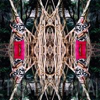 The Vitamin B12 - Laleh Ladan Gatefold Set