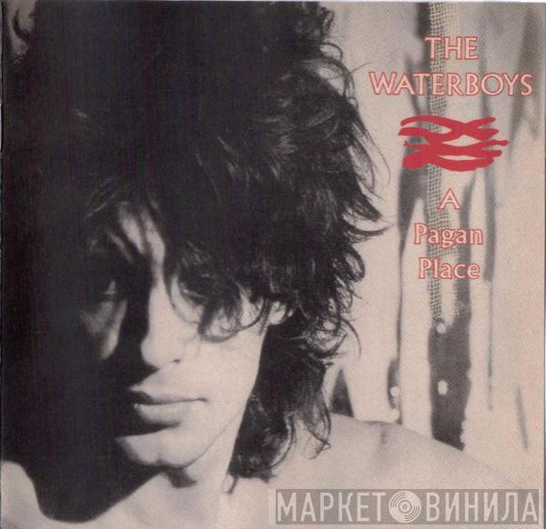  The Waterboys  - A Pagan Place