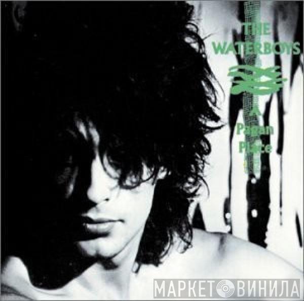  The Waterboys  - A Pagan Place