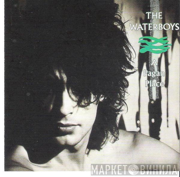  The Waterboys  - A Pagan Place