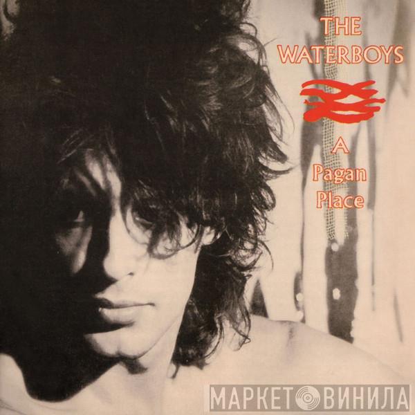  The Waterboys  - A Pagan Place