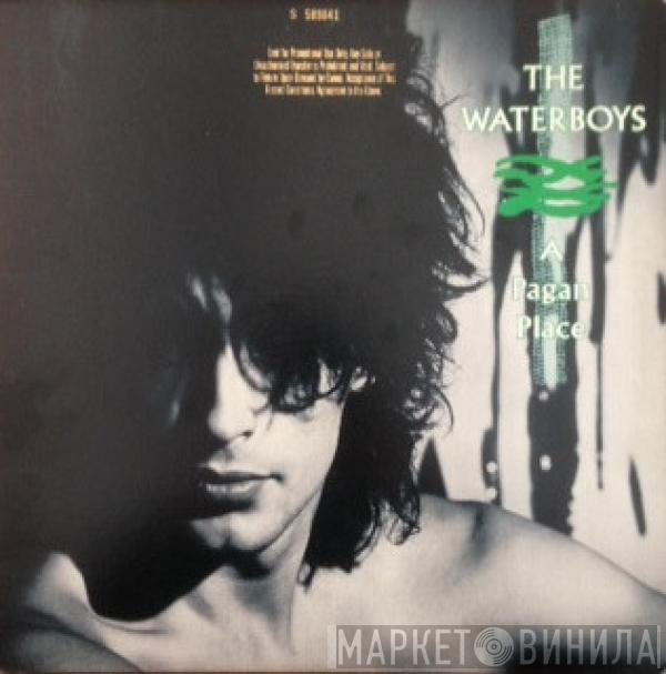  The Waterboys  - A Pagan Place