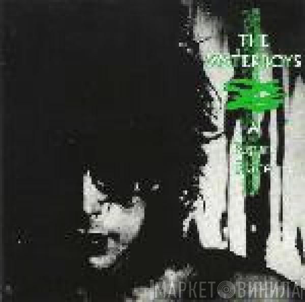  The Waterboys  - A Pagan Place