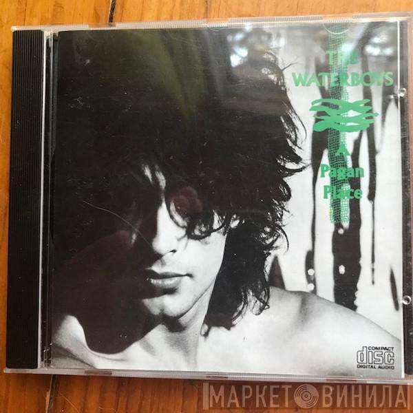 The Waterboys  - A Pagan Place