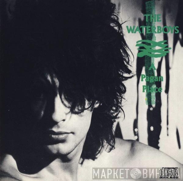  The Waterboys  - A Pagan Place