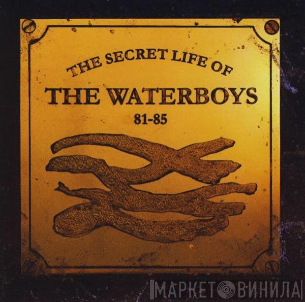  The Waterboys  - The Secret Life Of The Waterboys 81-85