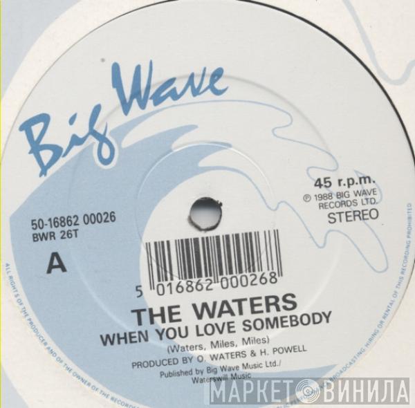 The Waters - When You Love Somebody