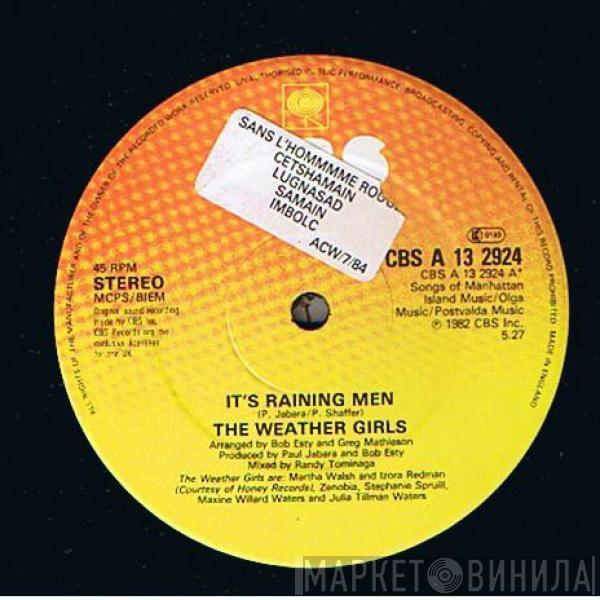  The Weather Girls  - It's Raining Men