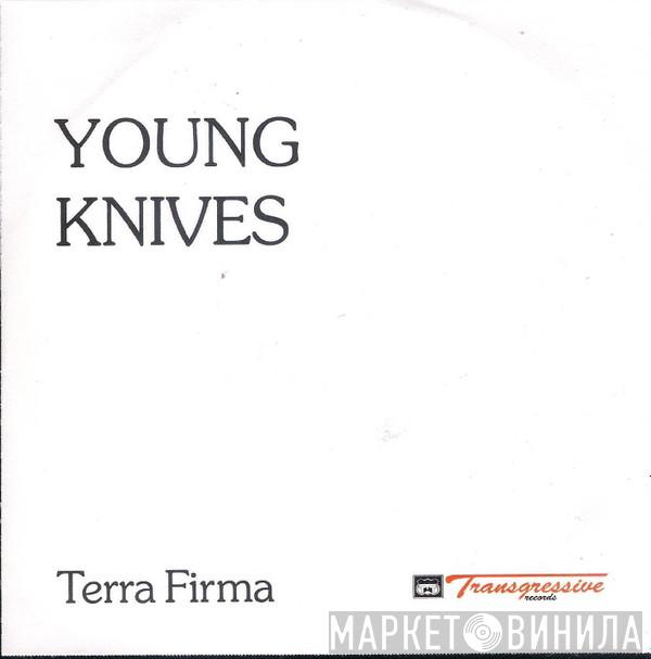  The Young Knives  - Terra Firma