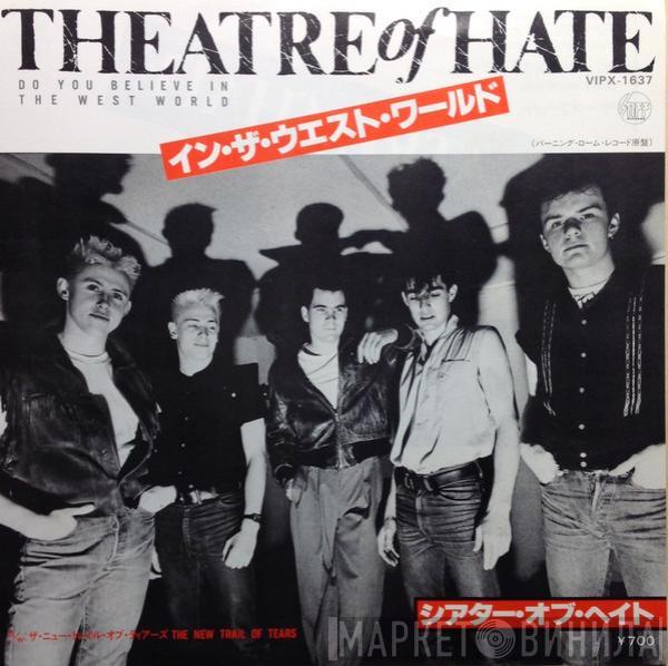  Theatre Of Hate  - Do You Believe In The West World