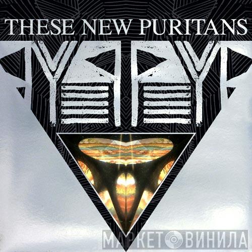 These New Puritans - Beat Pyramid