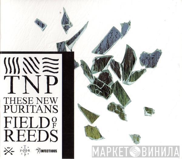 These New Puritans - Field Of Reeds