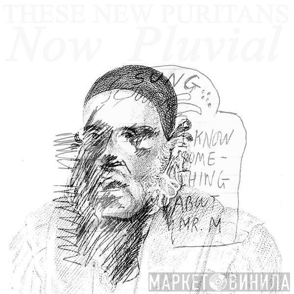 These New Puritans - Now Pluvial