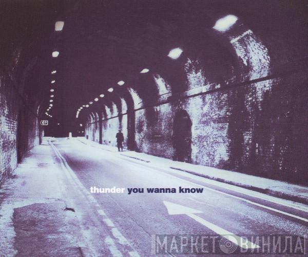 Thunder  - You Wanna Know