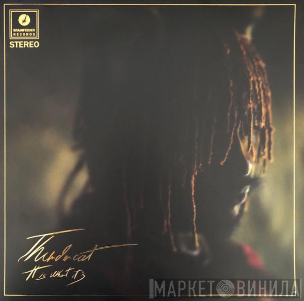 Thundercat - It Is What It Is