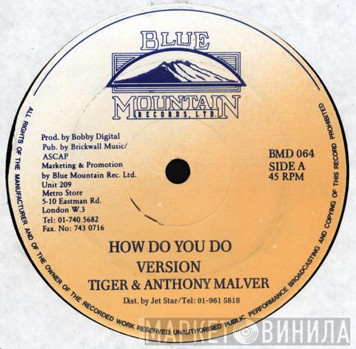 Tiger, Anthony Malvo - How Do You Do