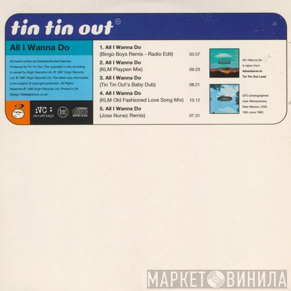 Tin Tin Out - All I Wanna Do
