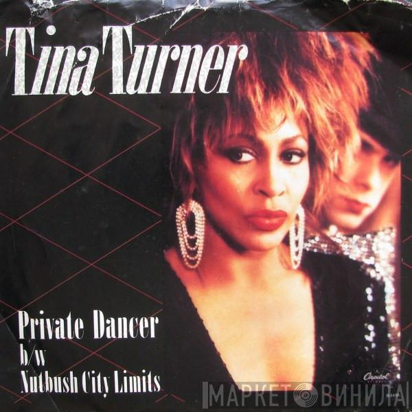 Tina Turner - Private Dancer / Nutbush City Limits