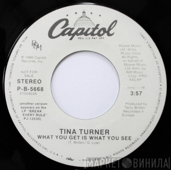  Tina Turner  - What You Get Is What You See