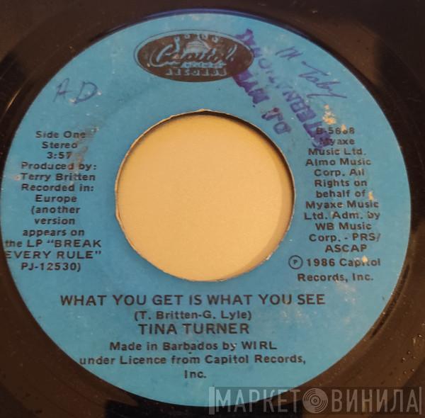  Tina Turner  - What You Get Is What You See
