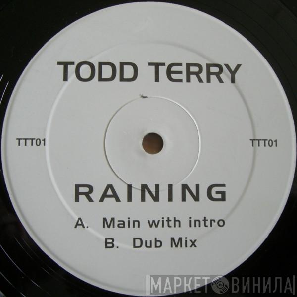  Todd Terry  - Raining