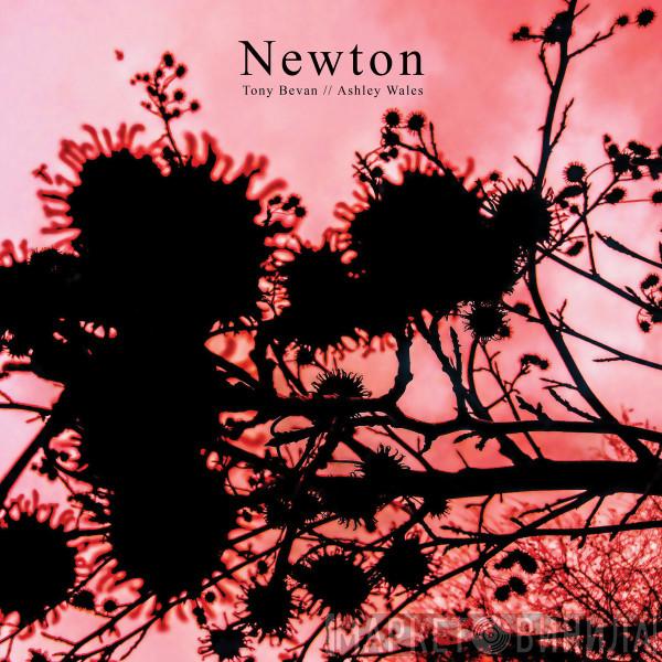 Tony Bevan, Ashley Wales - Newton