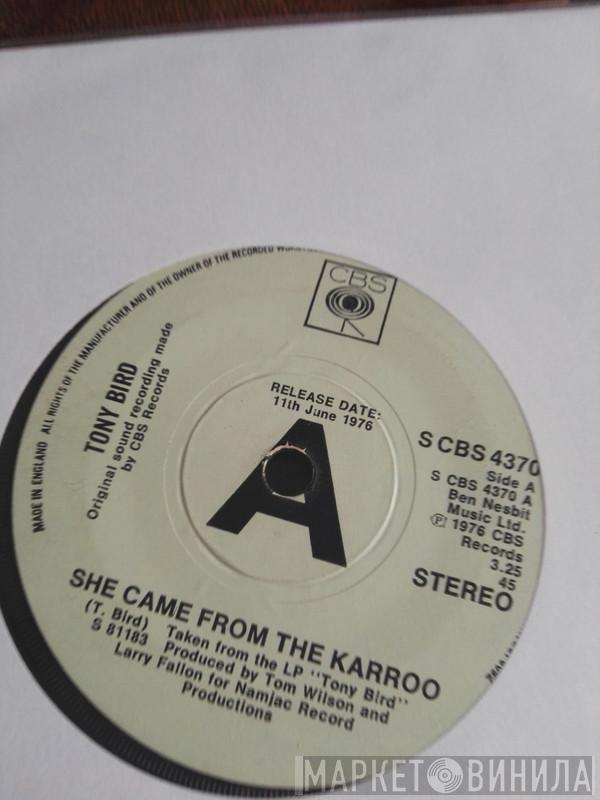 Tony Bird  - She Came From The Karroo
