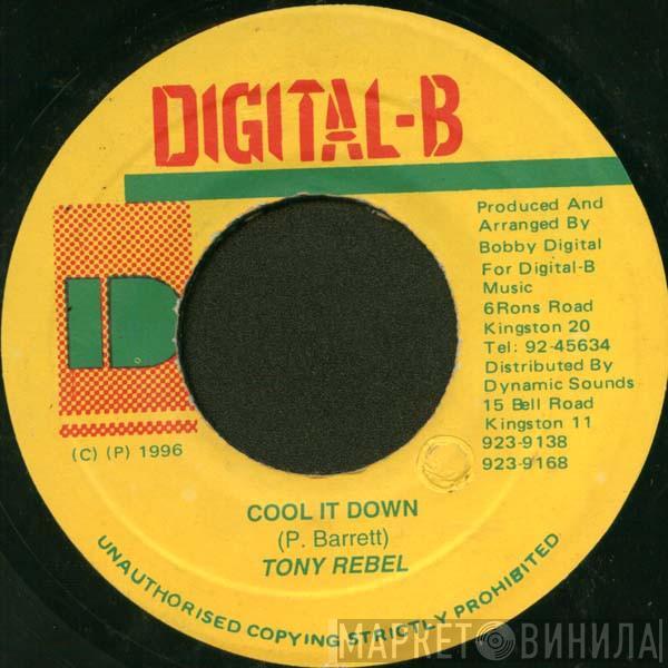 Tony Rebel - Cool It Down