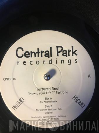 Tortured Soul - How's Your Life? (Part One)
