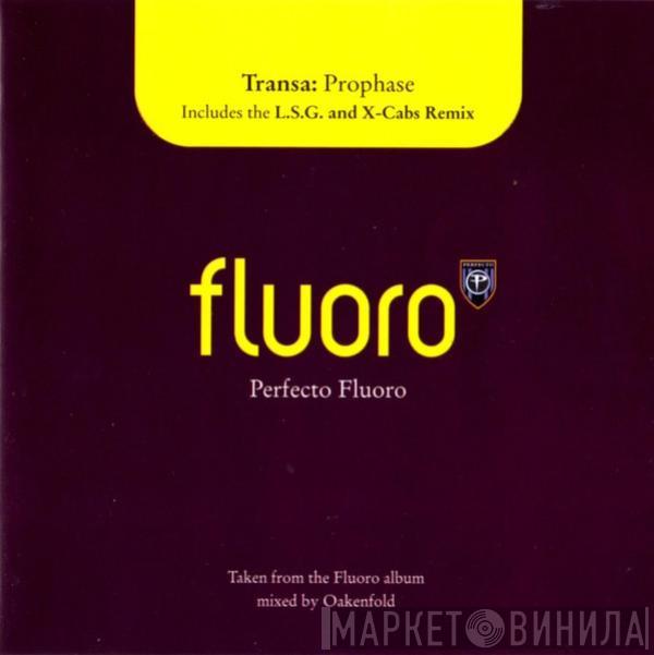  Transa  - Prophase