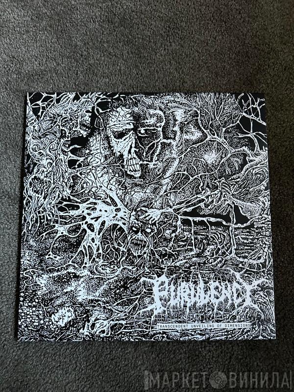  - Transcendent Unveiling of Dimensions