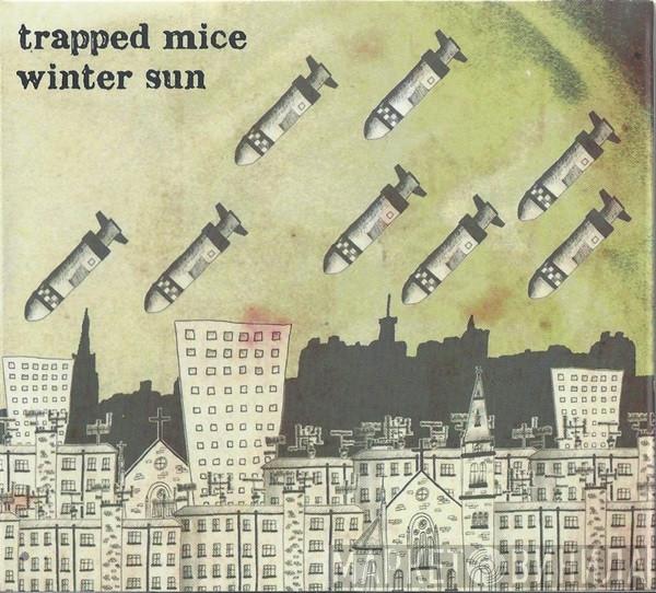 Trapped Mice - Winter Sun