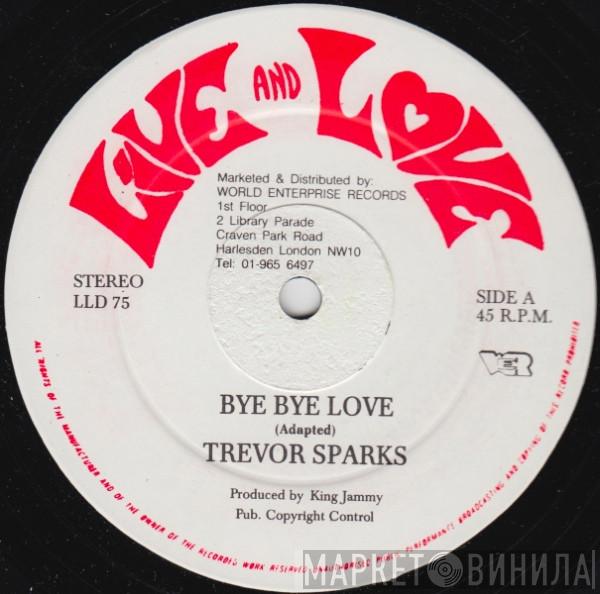 Trevor Sparks - Bye Bye Love