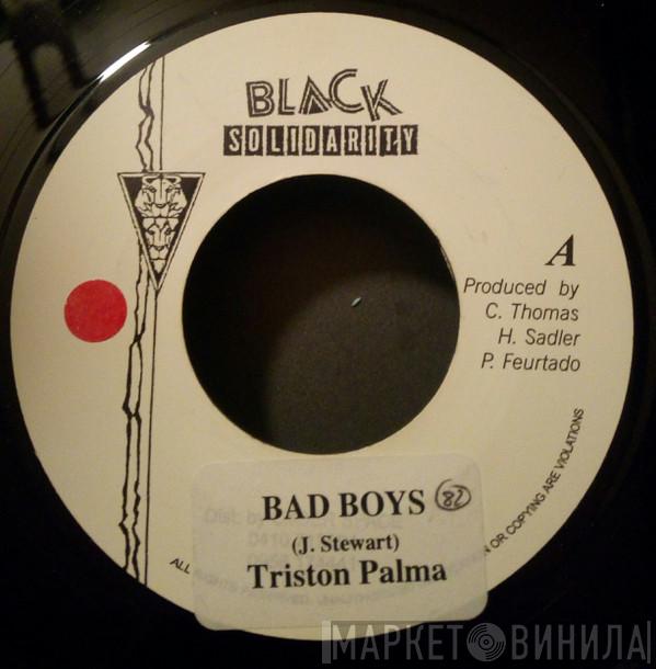  Tristan Palmer  - Bad Boys