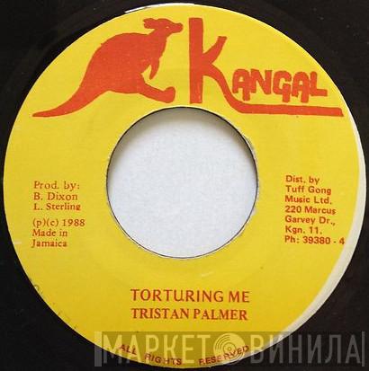 Tristan Palmer - Torturing Me