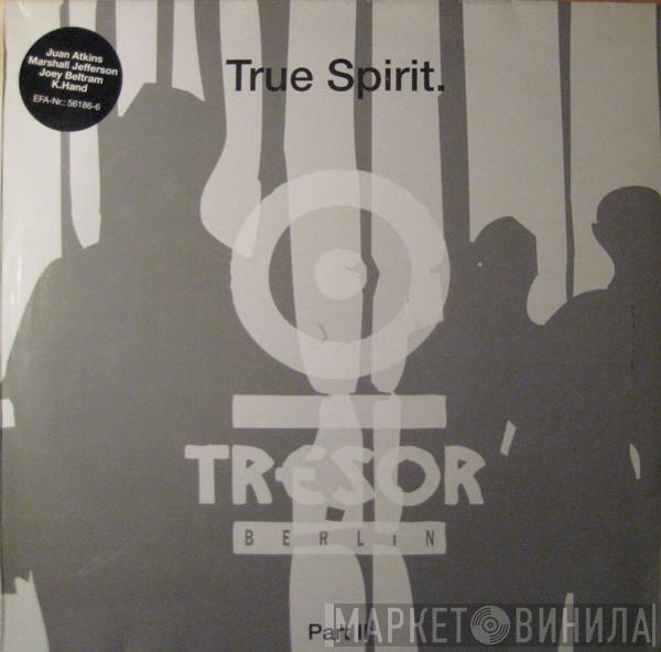  - True Spirit. Part II