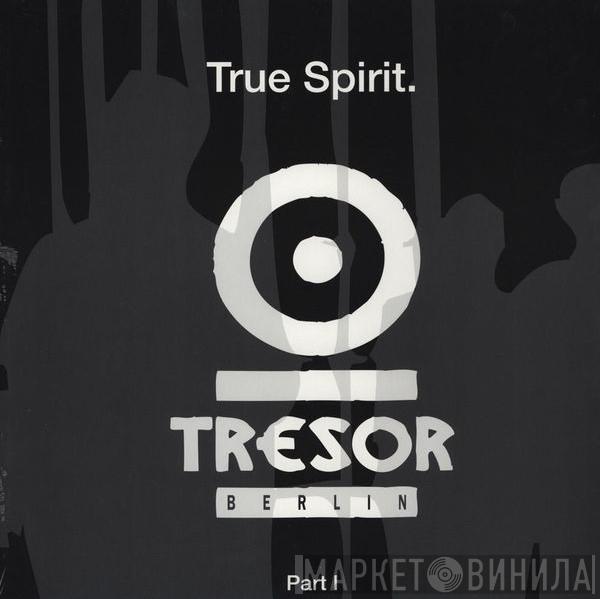  - True Spirit. Part I