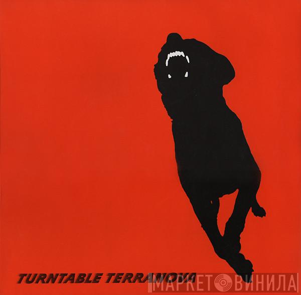 Turntable Terranova - Precipice (DJ Krust Remix)