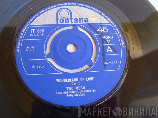 Two Much  - Wonderland Of Love